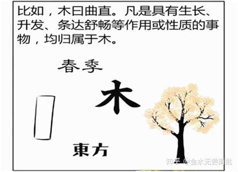 甲木性格|【甲木性格】甲木人的性格、長相、喜好與搞定攻略